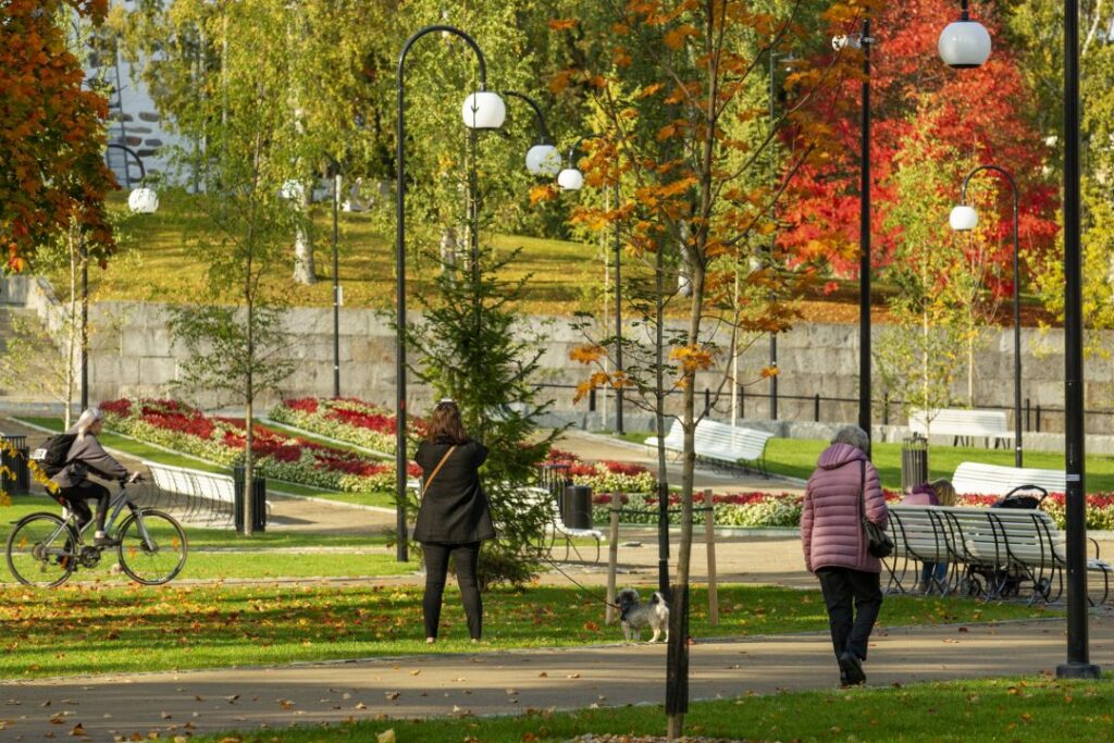 snellmaninpuisto syksy