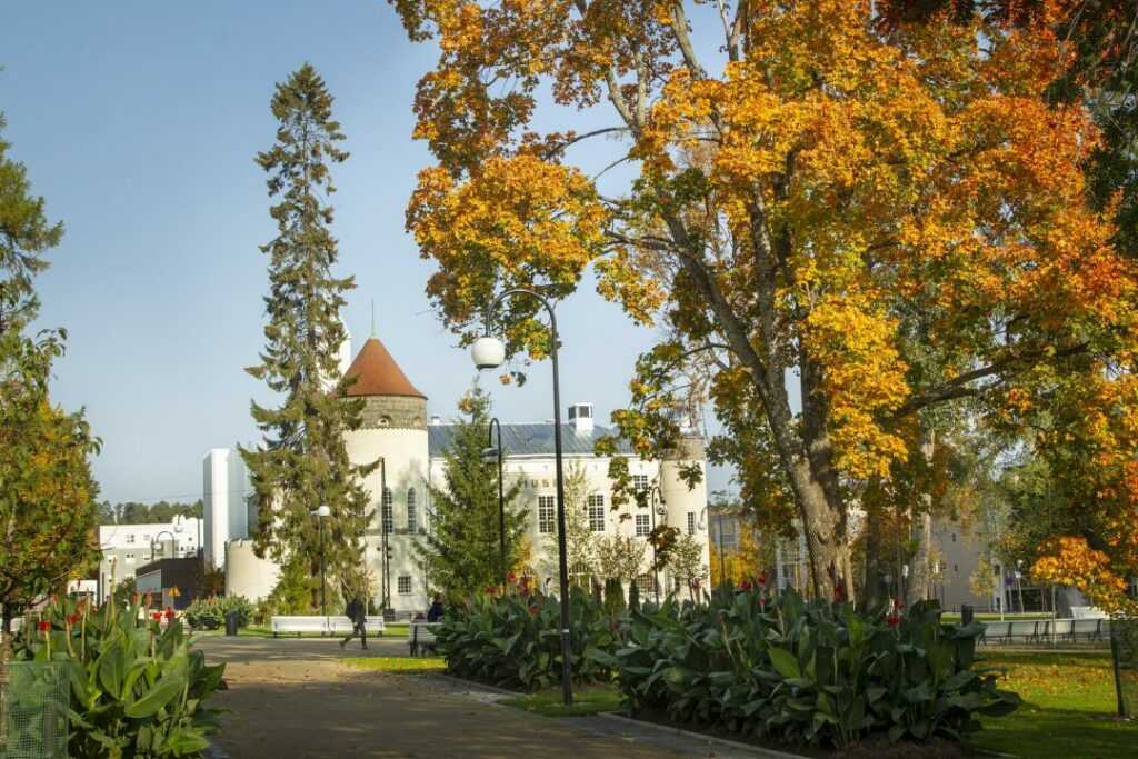 snelmmaninpuisto syksy