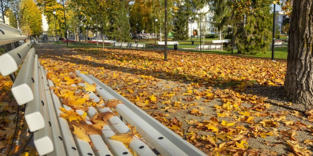 snellmaninpuiston penkit syksy