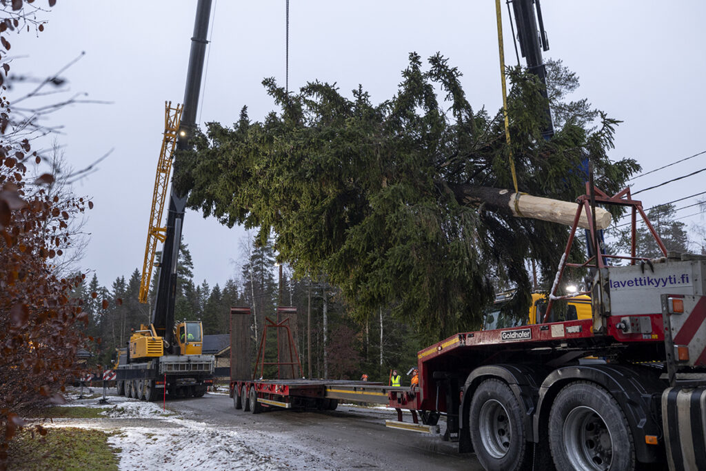 Lavettiauton kyytiin ollaan nostamassa suurta kuusta nosturilla.