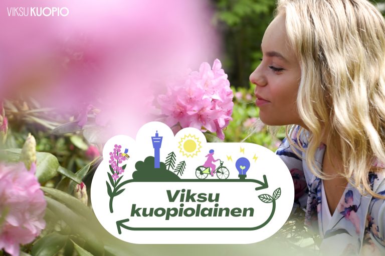 Vaaleanpunaisia kukkia sekä vaaleahiuksinen naishenkilö nuuhkimassa kukkia. Teksti Viksu kuopiolainen.