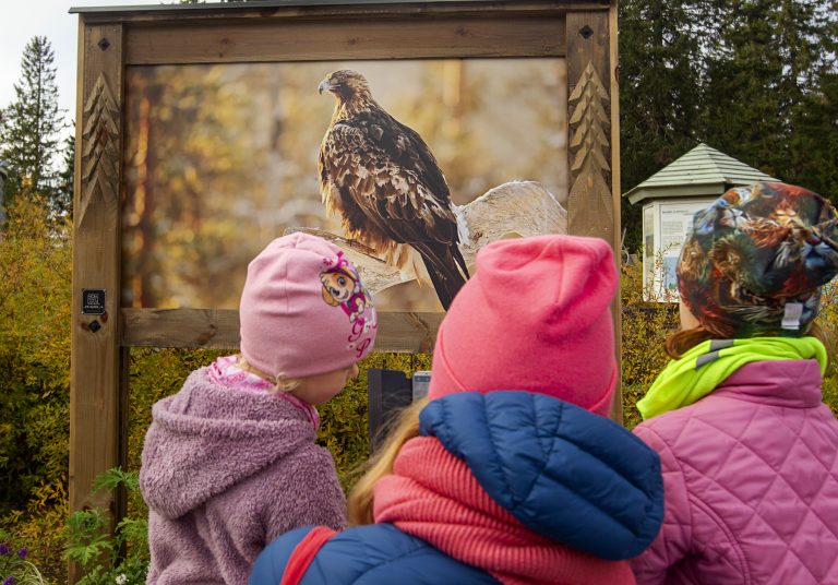 Kolme lasta katselee luontokuvaa linnusta